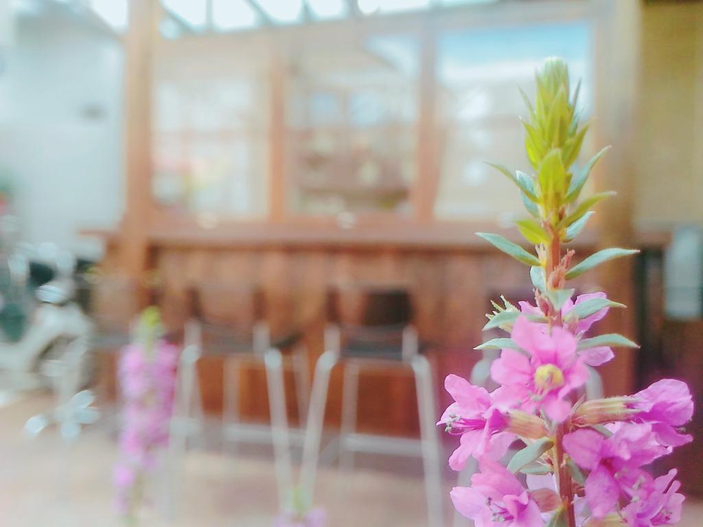 He Tian B&B - Cafe & Bar Puli Esterno foto